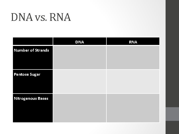 DNA vs. RNA DNA Number of Strands Pentose Sugar Nitrogenous Bases RNA 