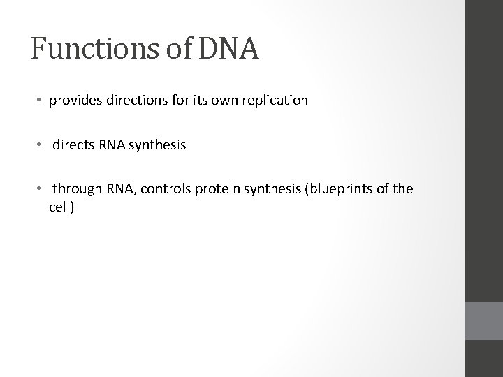 Functions of DNA • provides directions for its own replication • directs RNA synthesis