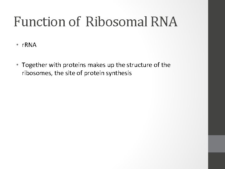 Function of Ribosomal RNA • r. RNA • Together with proteins makes up the