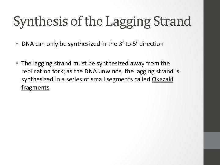 Synthesis of the Lagging Strand • DNA can only be synthesized in the 3’