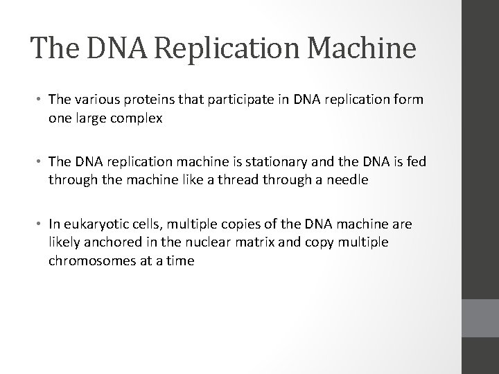 The DNA Replication Machine • The various proteins that participate in DNA replication form