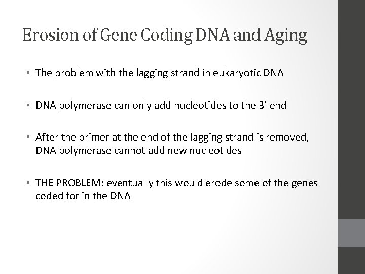 Erosion of Gene Coding DNA and Aging • The problem with the lagging strand