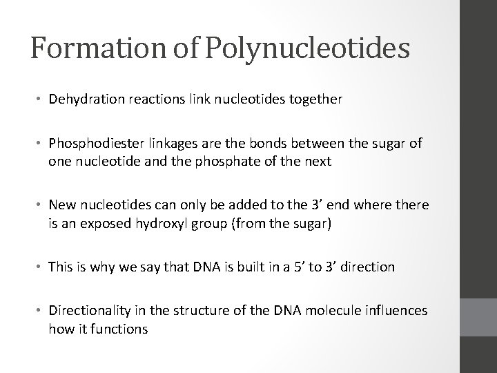 Formation of Polynucleotides • Dehydration reactions link nucleotides together • Phosphodiester linkages are the