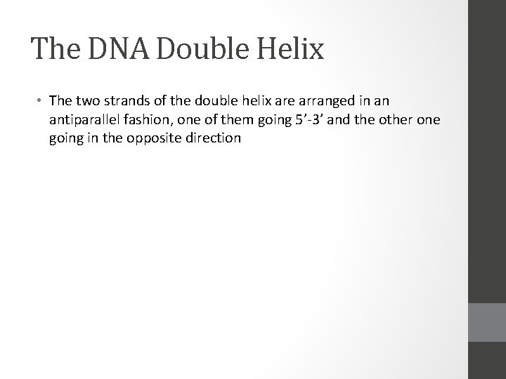 The DNA Double Helix • The two strands of the double helix are arranged