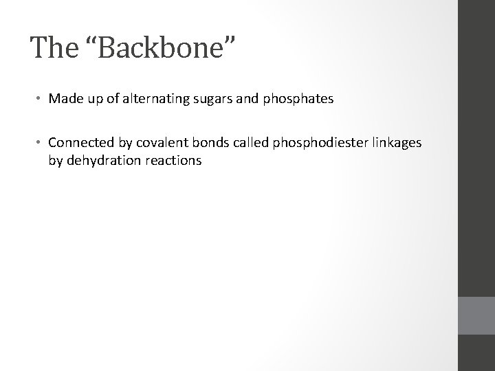The “Backbone” • Made up of alternating sugars and phosphates • Connected by covalent