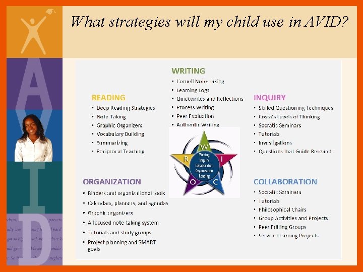 What strategies will my child use in AVID? 