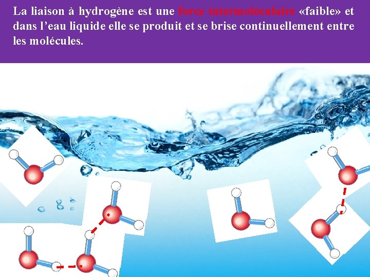 La liaison à hydrogène est une force intermoléculaire «faible» et dans l’eau liquide elle