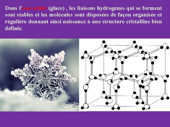 Dans l’eau solide (glace) , les liaisons hydrogènes qui se forment sont stables et