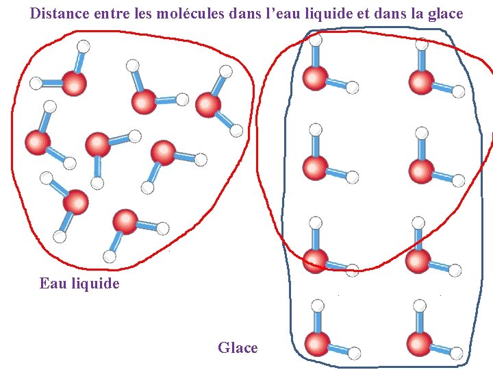 Distance entre les molécules dans l’eau liquide et dans la glace Eau liquide Glace