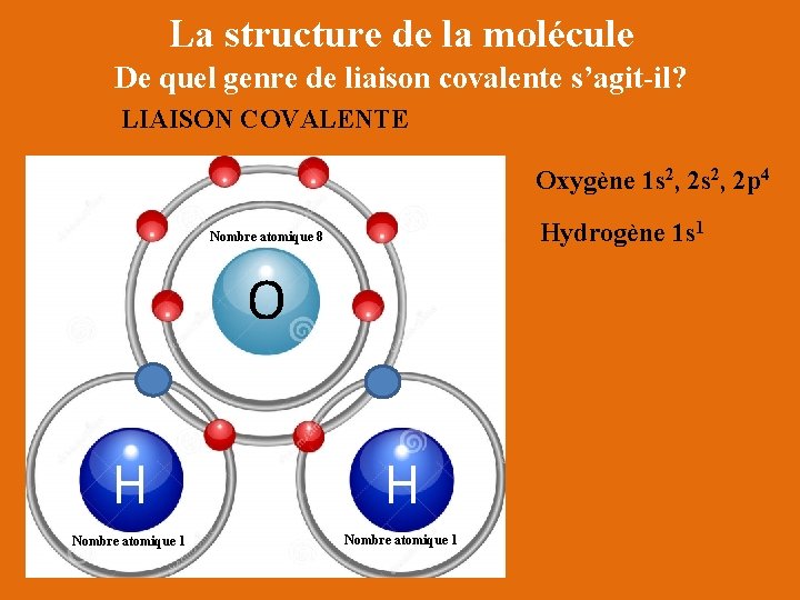 La structure de la molécule De quel genre de liaison covalente s’agit-il? LIAISON COVALENTE