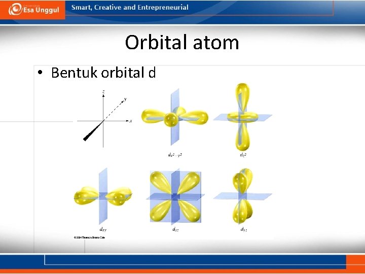 Orbital atom • Bentuk orbital d 