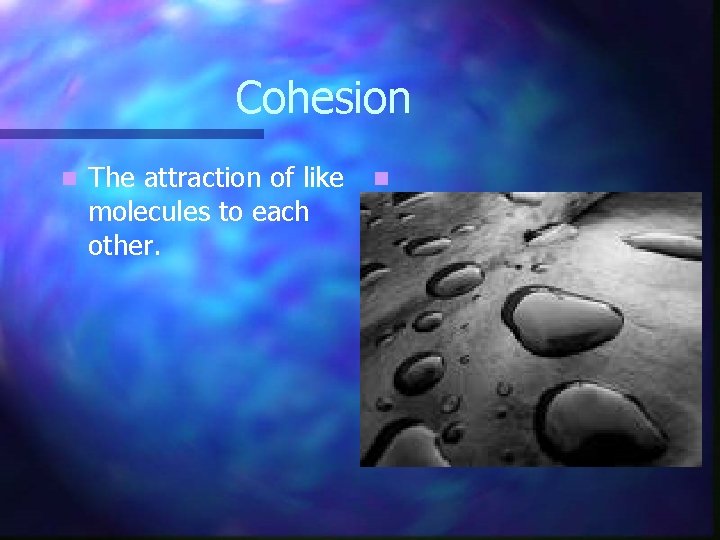 Cohesion n The attraction of like molecules to each other. n 