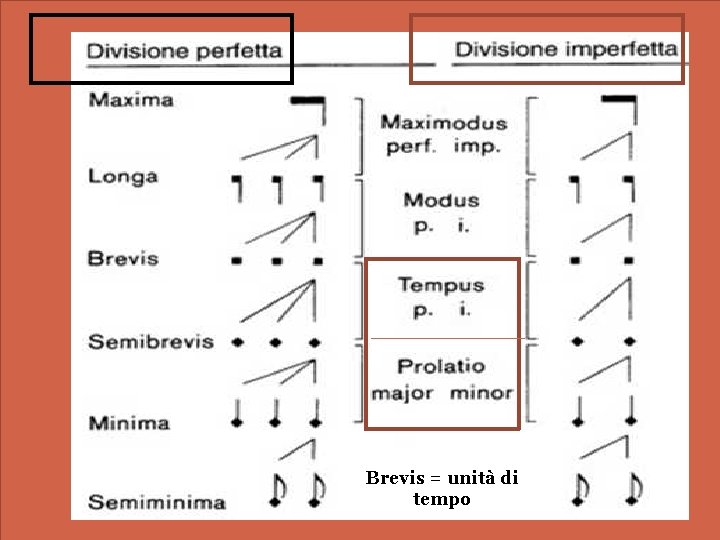 Brevis = unità di tempo 