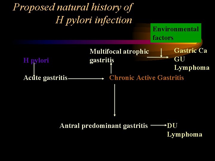 Proposed natural history of H pylori infection Environmental factors Gastric Ca GU Lymphoma Chronic