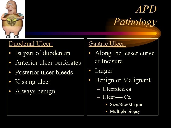 APD Pathology Duodenal Ulcer: • Ist part of duodenum • Anterior ulcer perforates •
