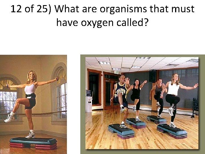 12 of 25) What are organisms that must have oxygen called? 