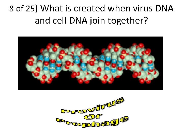 8 of 25) What is created when virus DNA and cell DNA join together?