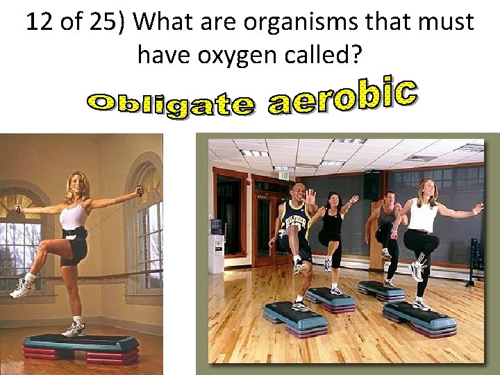 12 of 25) What are organisms that must have oxygen called? 