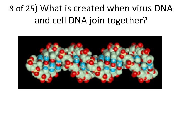 8 of 25) What is created when virus DNA and cell DNA join together?
