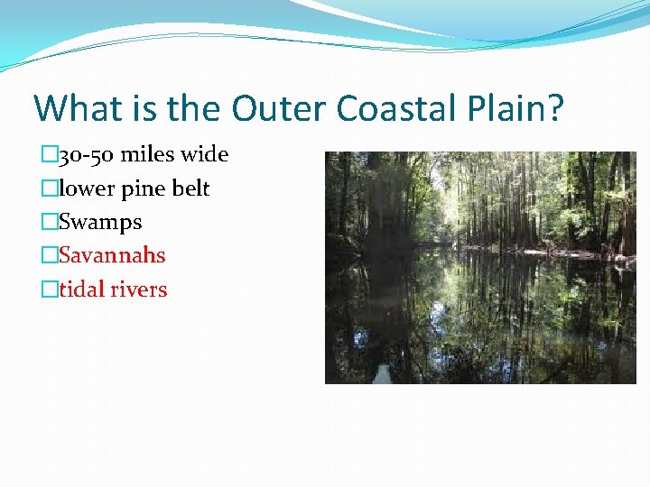 What is the Outer Coastal Plain? � 30 -50 miles wide �lower pine belt