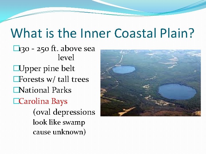 What is the Inner Coastal Plain? � 130 - 250 ft. above sea level