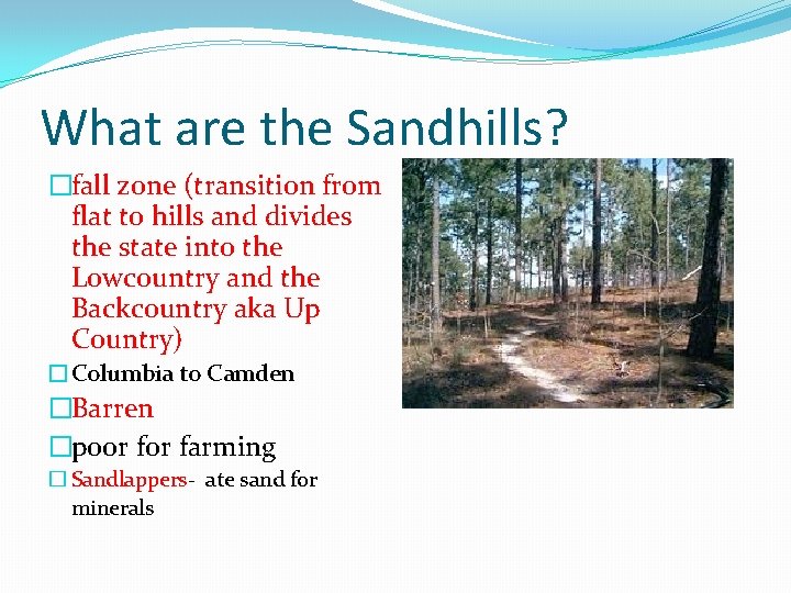 What are the Sandhills? �fall zone (transition from flat to hills and divides the