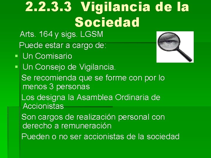 2. 2. 3. 3 Vigilancia de la Sociedad Arts. 164 y sigs. LGSM Puede