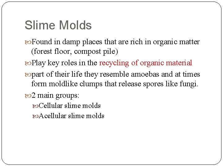 Slime Molds Found in damp places that are rich in organic matter (forest floor,