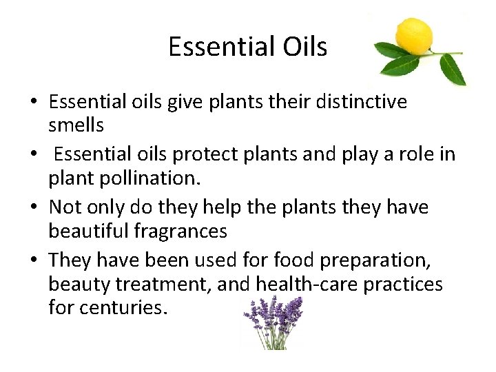 Essential Oils • Essential oils give plants their distinctive smells • Essential oils protect