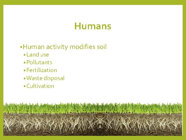 Humans • Human activity modifies soil • Land use • Pollutants • Fertilization • Humans • Human activity modifies soil • Land use • Pollutants • Fertilization •
