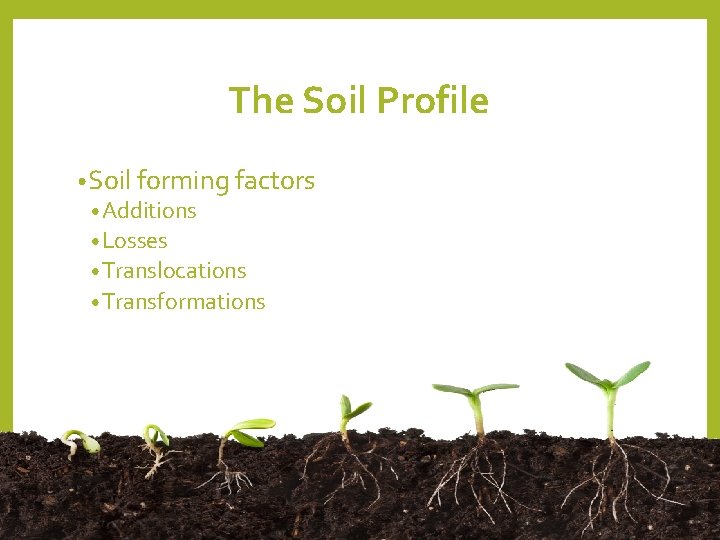 The Soil Profile • Soil forming factors • Additions • Losses • Translocations • The Soil Profile • Soil forming factors • Additions • Losses • Translocations •