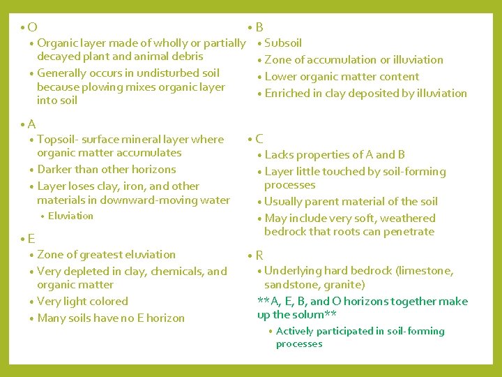 • Organic layer made of wholly or partially decayed plant and animal debris • Organic layer made of wholly or partially decayed plant and animal debris