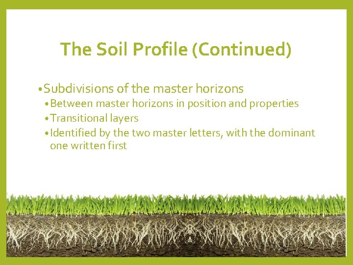 The Soil Profile (Continued) • Subdivisions of the master horizons • Between master horizons The Soil Profile (Continued) • Subdivisions of the master horizons • Between master horizons