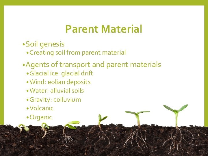Parent Material • Soil genesis • Creating soil from parent material • Agents of Parent Material • Soil genesis • Creating soil from parent material • Agents of