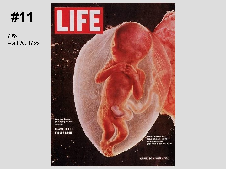 #11 Life April 30, 1965 