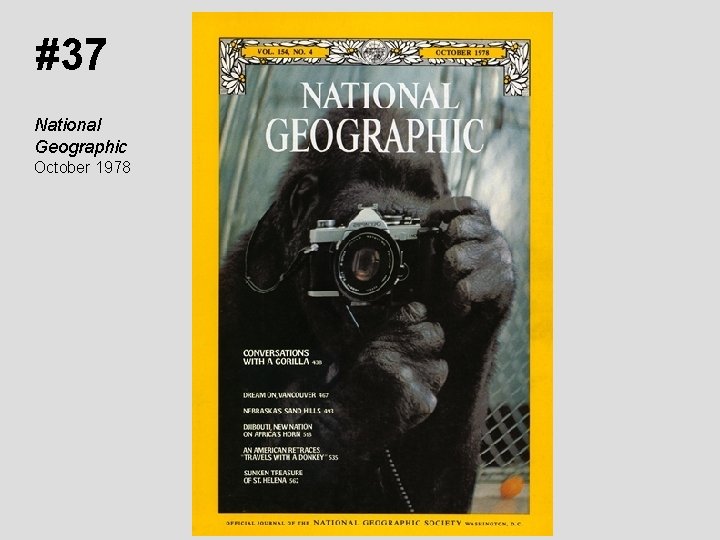 #37 National Geographic October 1978 