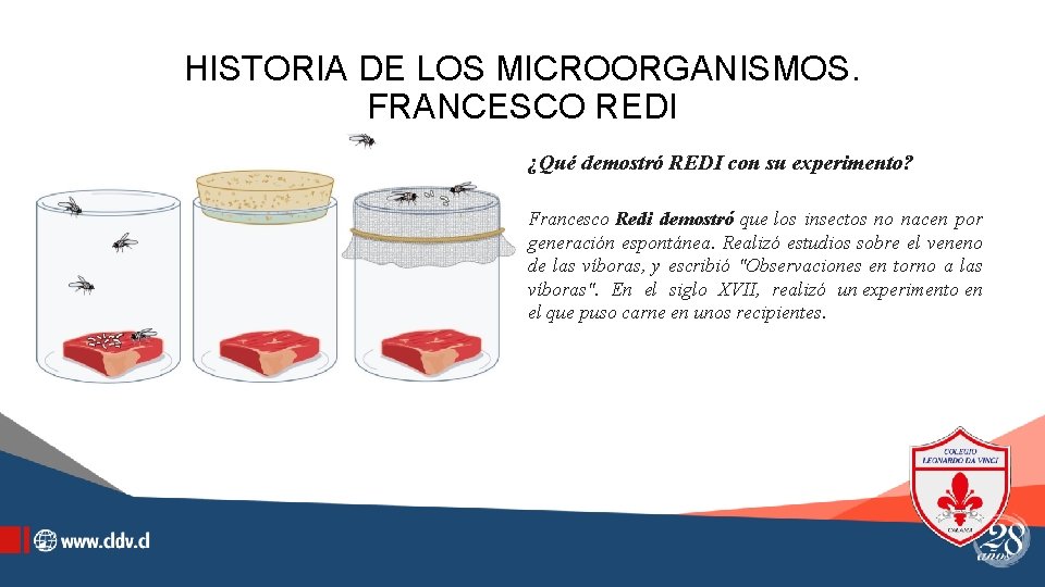 HISTORIA DE LOS MICROORGANISMOS. FRANCESCO REDI ¿Qué demostró REDI con su experimento? Francesco Redi