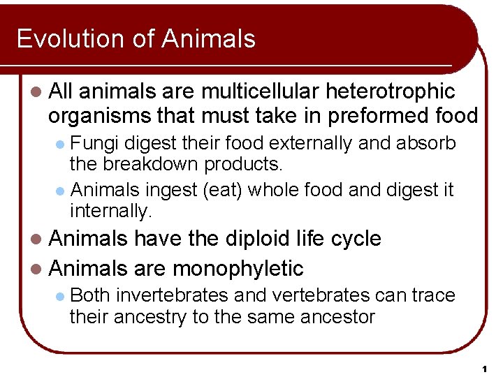 Evolution of Animals l All animals are multicellular heterotrophic organisms that must take in