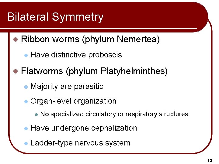 Bilateral Symmetry l Ribbon worms (phylum Nemertea) l l Have distinctive proboscis Flatworms (phylum
