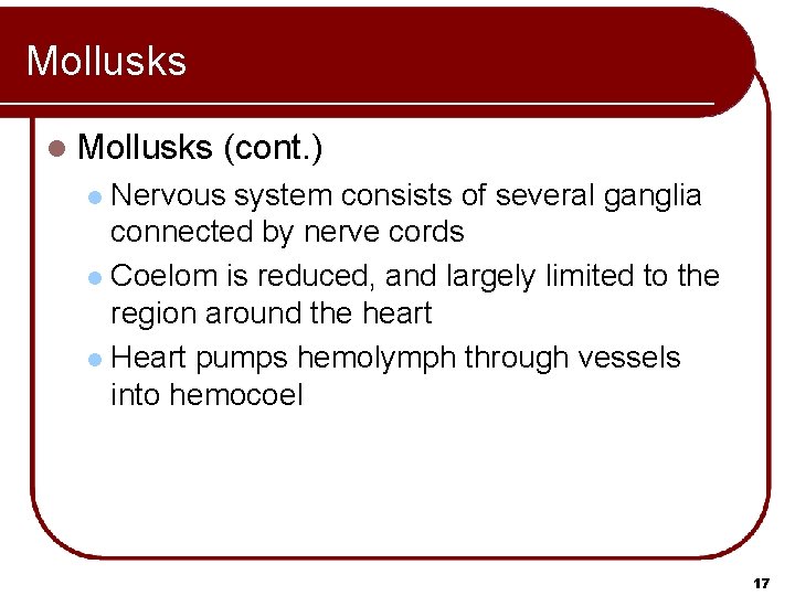 Mollusks l Mollusks (cont. ) Nervous system consists of several ganglia connected by nerve