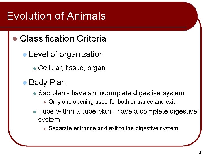 Evolution of Animals l Classification l Level of organization l l Criteria Cellular, tissue,