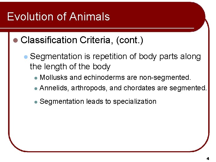 Evolution of Animals l Classification l Criteria, (cont. ) Segmentation is repetition of body