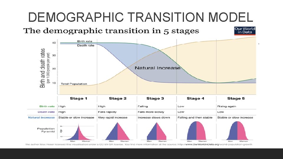 DEMOGRAPHIC TRANSITION MODEL 