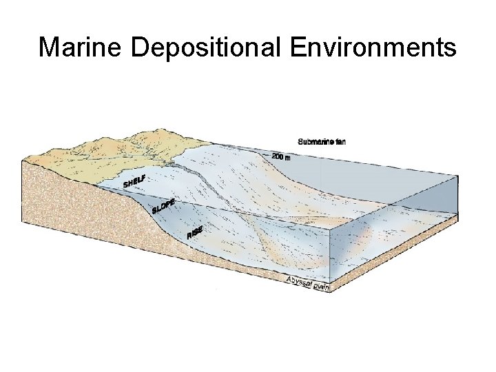 Marine Depositional Environments 