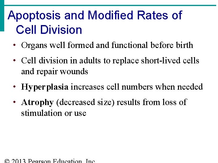 Apoptosis and Modified Rates of Cell Division • Organs well formed and functional before