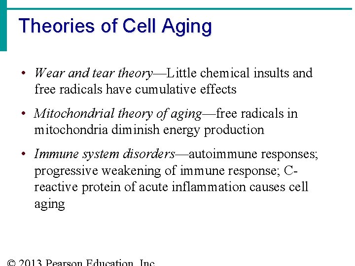 Theories of Cell Aging • Wear and tear theory—Little chemical insults and free radicals