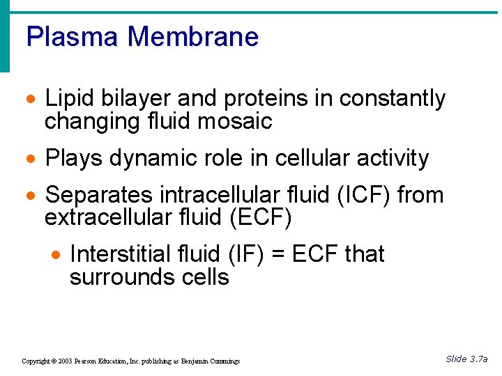 Plasma Membrane · Lipid bilayer and proteins in constantly changing fluid mosaic · Plays