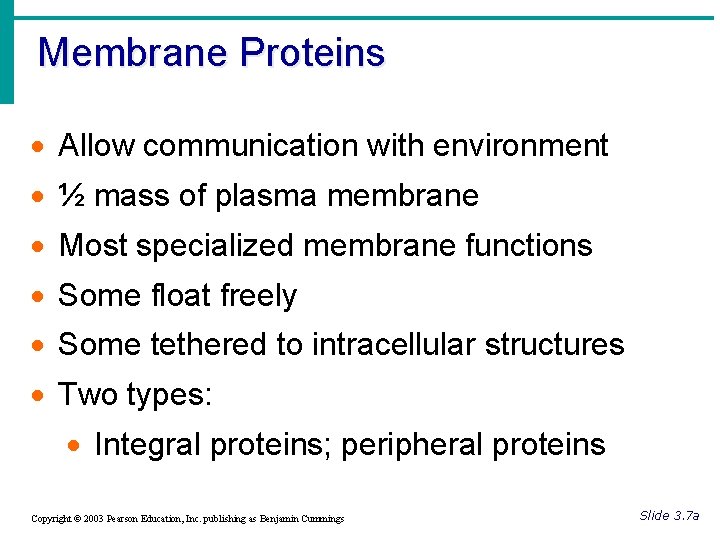 Membrane Proteins · Allow communication with environment · ½ mass of plasma membrane ·