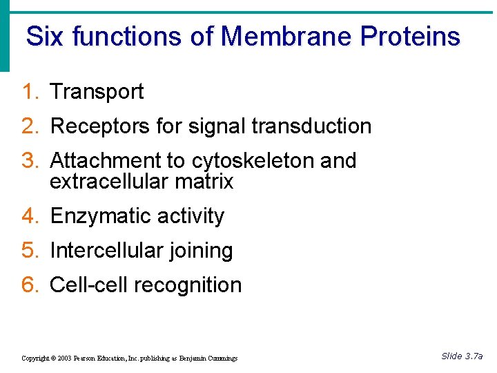 Six functions of Membrane Proteins 1. Transport 2. Receptors for signal transduction 3. Attachment