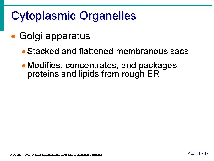 Cytoplasmic Organelles · Golgi apparatus · Stacked and flattened membranous sacs · Modifies, concentrates,